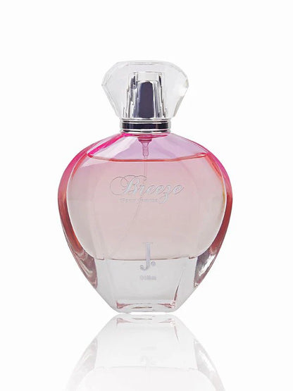 BREEZE-US 100ml