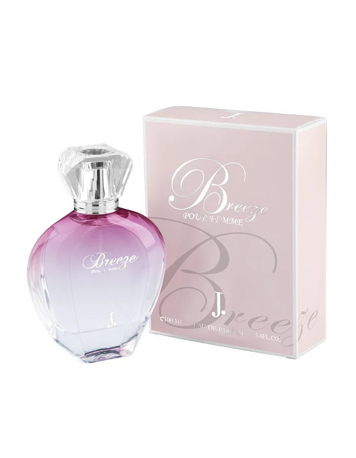 BREEZE-US 100ml